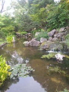 giardino giapponese orto botanico (2)