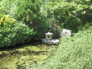 giardino giapponese orto botanico
