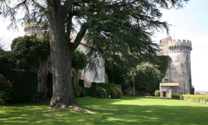 IL CASTELLO DI BRACCIANO: UN’OASI CULTURALE ITALIANA