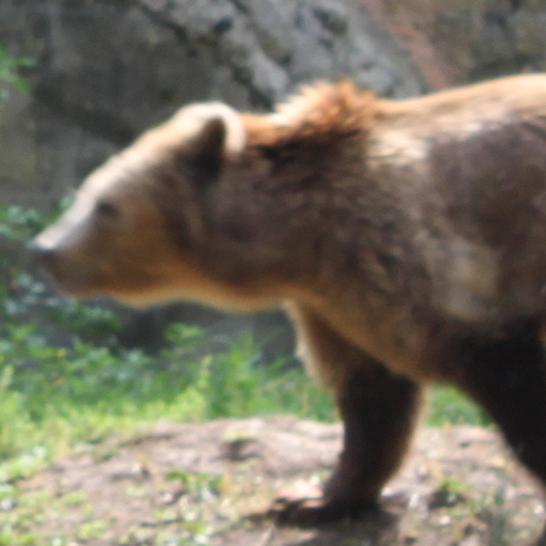 Estate 2019 al Bioparco