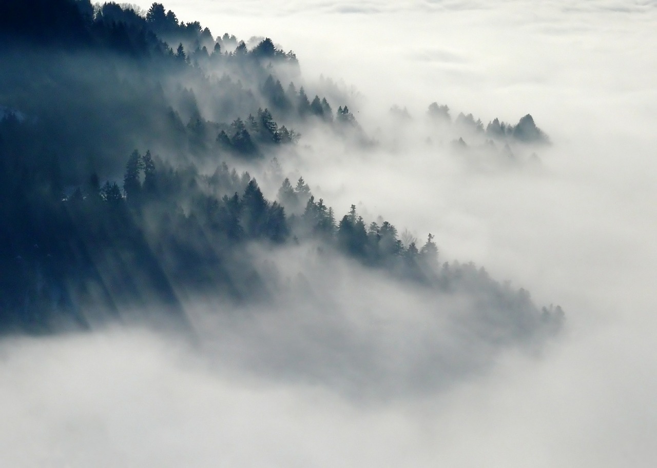 “Viandante sul mare di nebbia”: l’arte del sublime