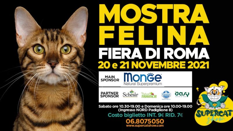 Torna a Roma il SuperCat Show