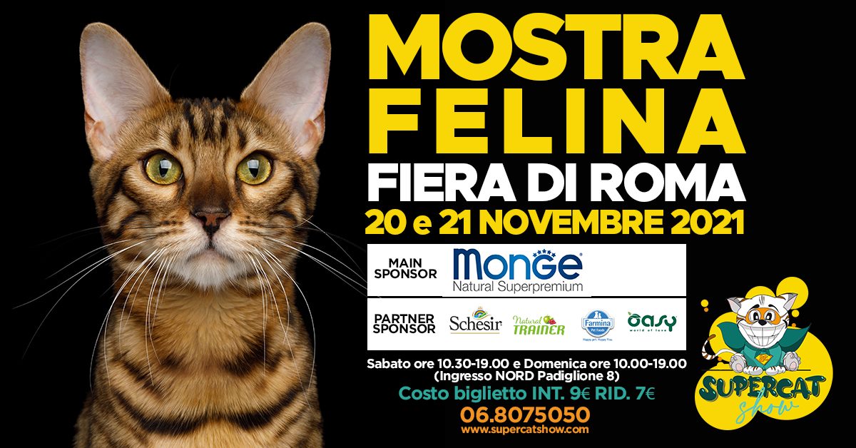 Torna a Roma il SuperCat Show