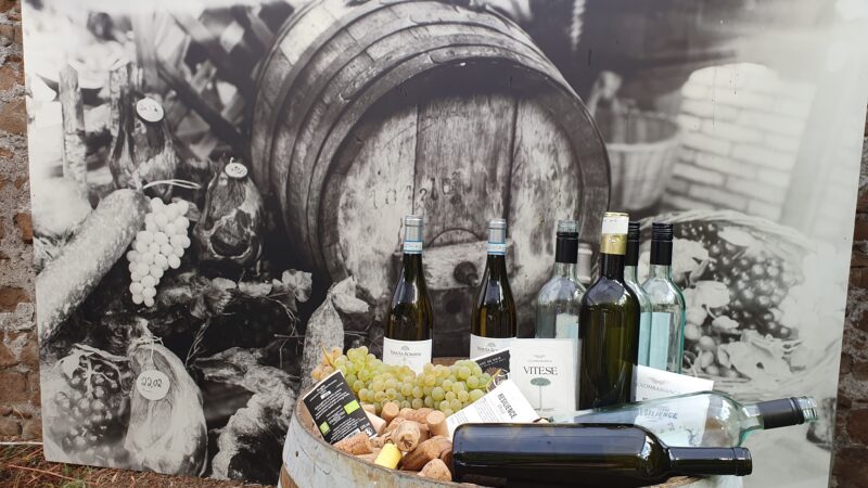 Vendemmiata Romana Special Edition: In alto i calici per la nascita del vino del Vigneto Italia!