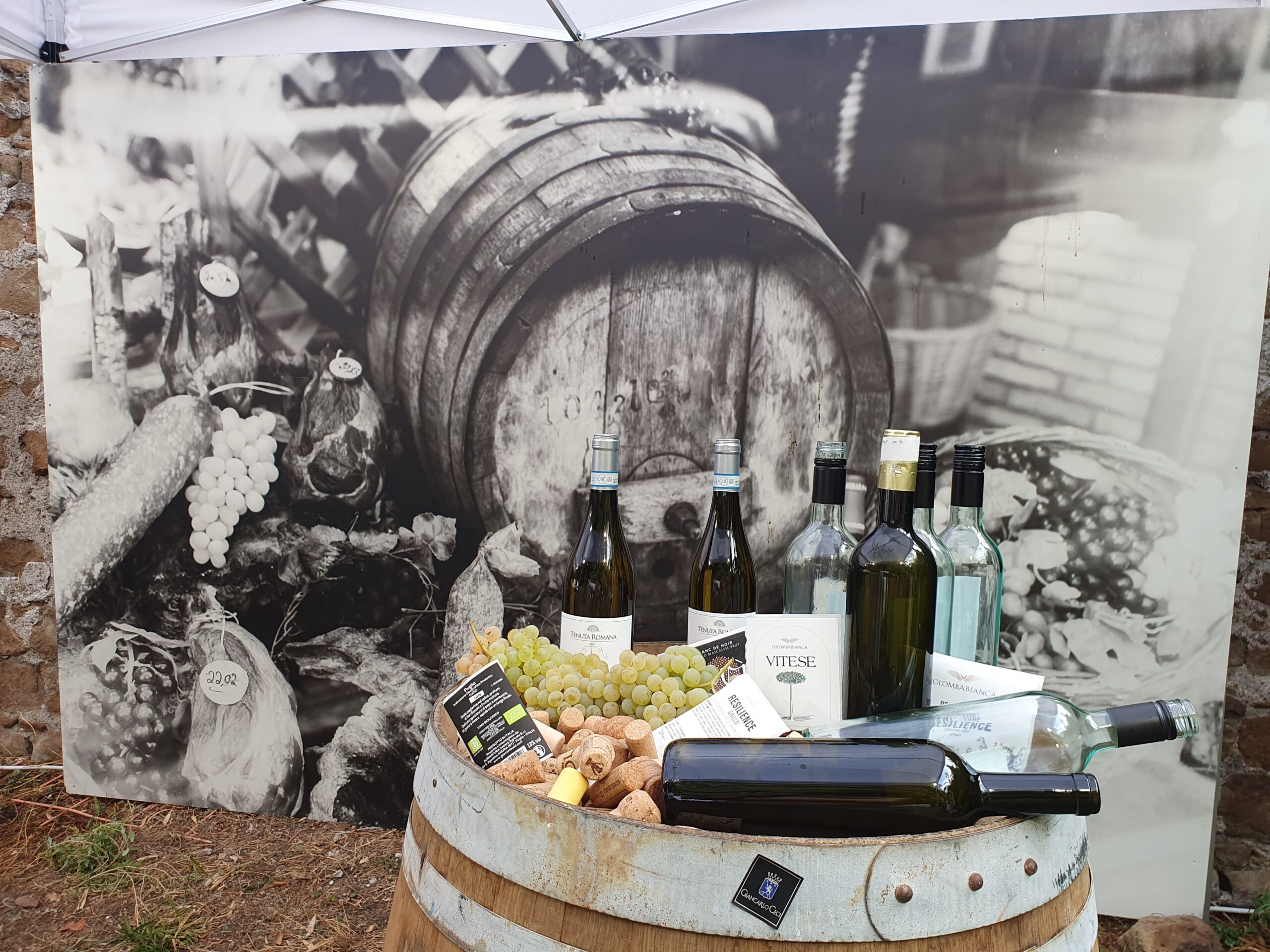 Vendemmiata Romana Special Edition: In alto i calici per la nascita del vino del Vigneto Italia!