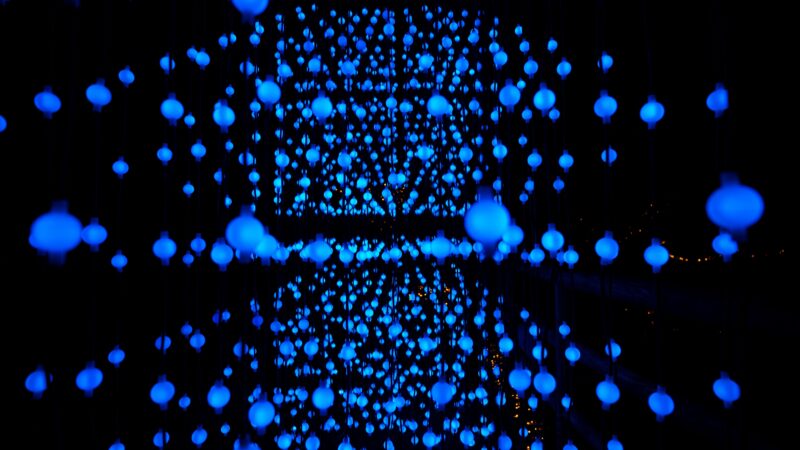 Mostra sensoriale di Natale all’orto botanico di Roma!